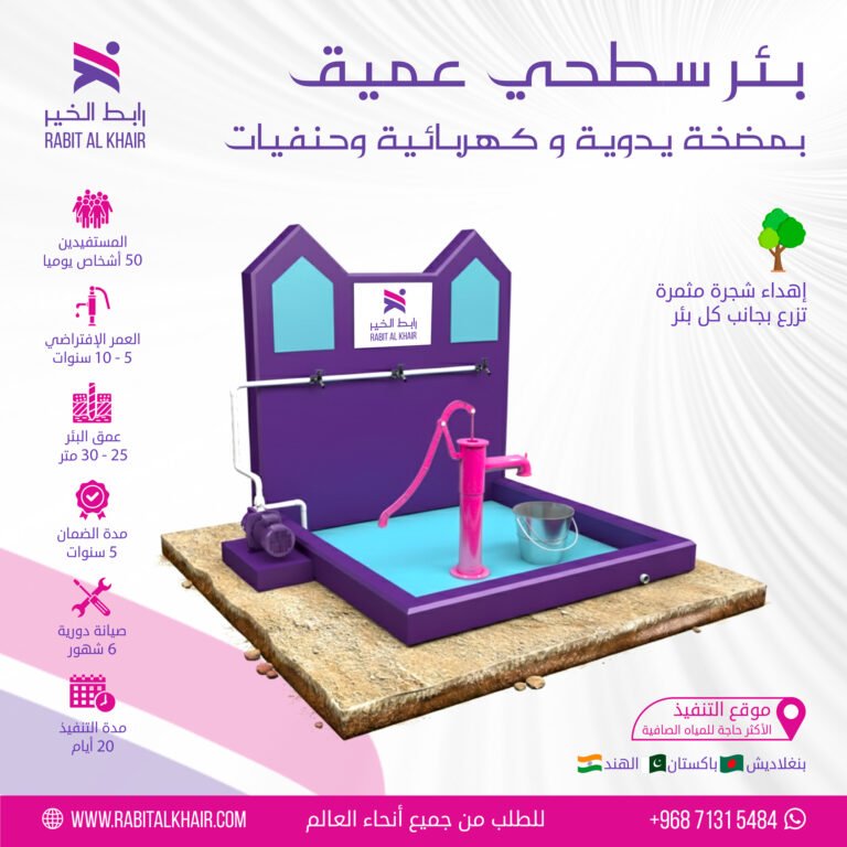 Deep Surface Well | With Manual and Electric Pump