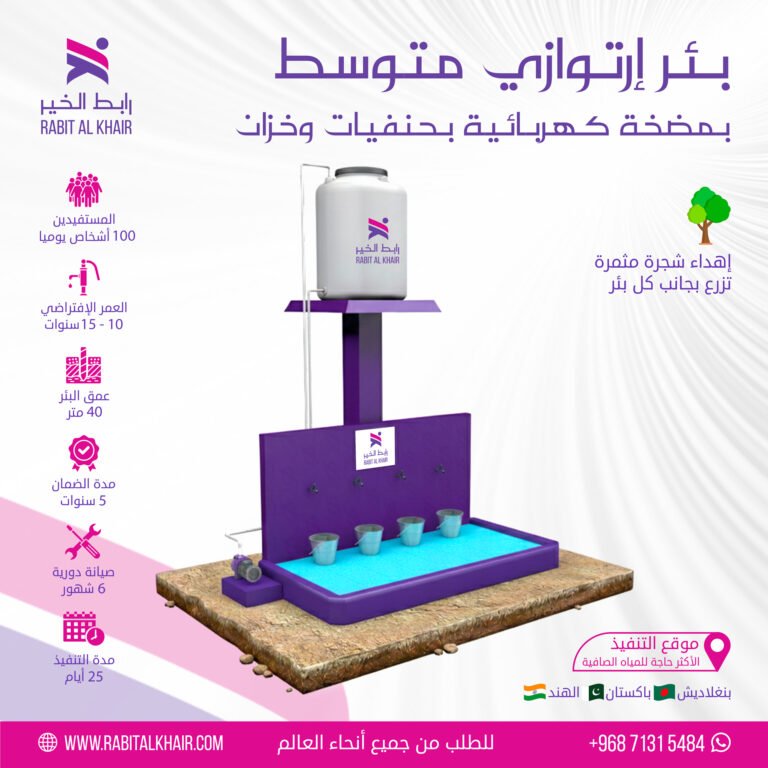 Small Artesian Well | With Manual and Electric Pump and a 500-liter Tank and a Ceramic Fence